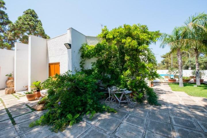 Villa Cancelliere ซานวิโต โลคาโป ภายนอก รูปภาพ